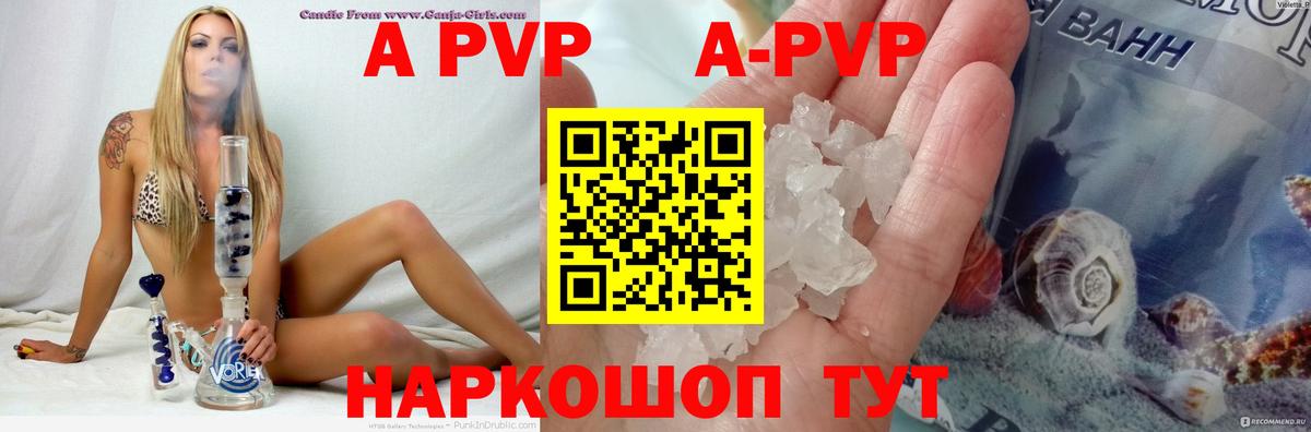 Альфа ПВП СК КРИС Урус-Мартан