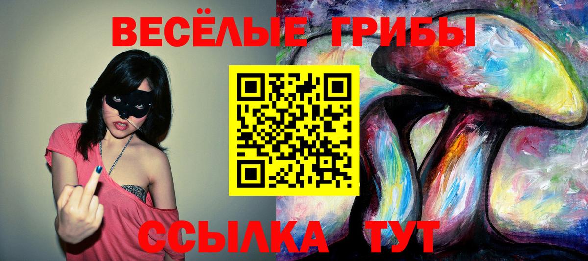 Псилоцибиновые грибы прущие грибы  Вход с VPN  Урус-Мартан 