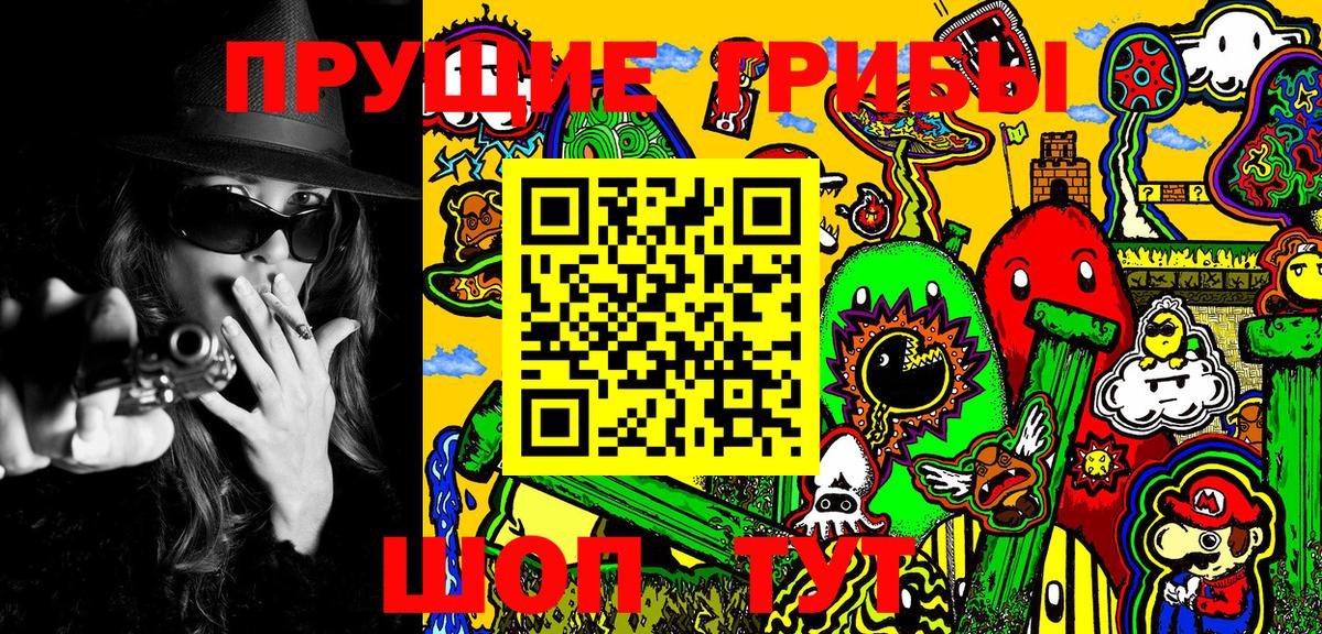 Галлюциногенные грибы Cubensis Урус-Мартан